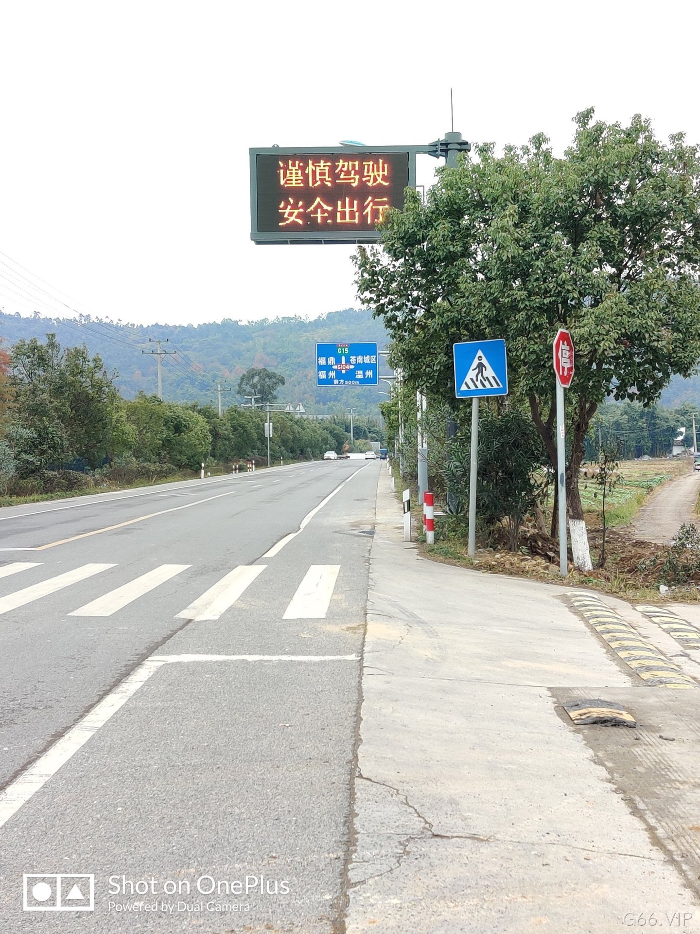 诱导